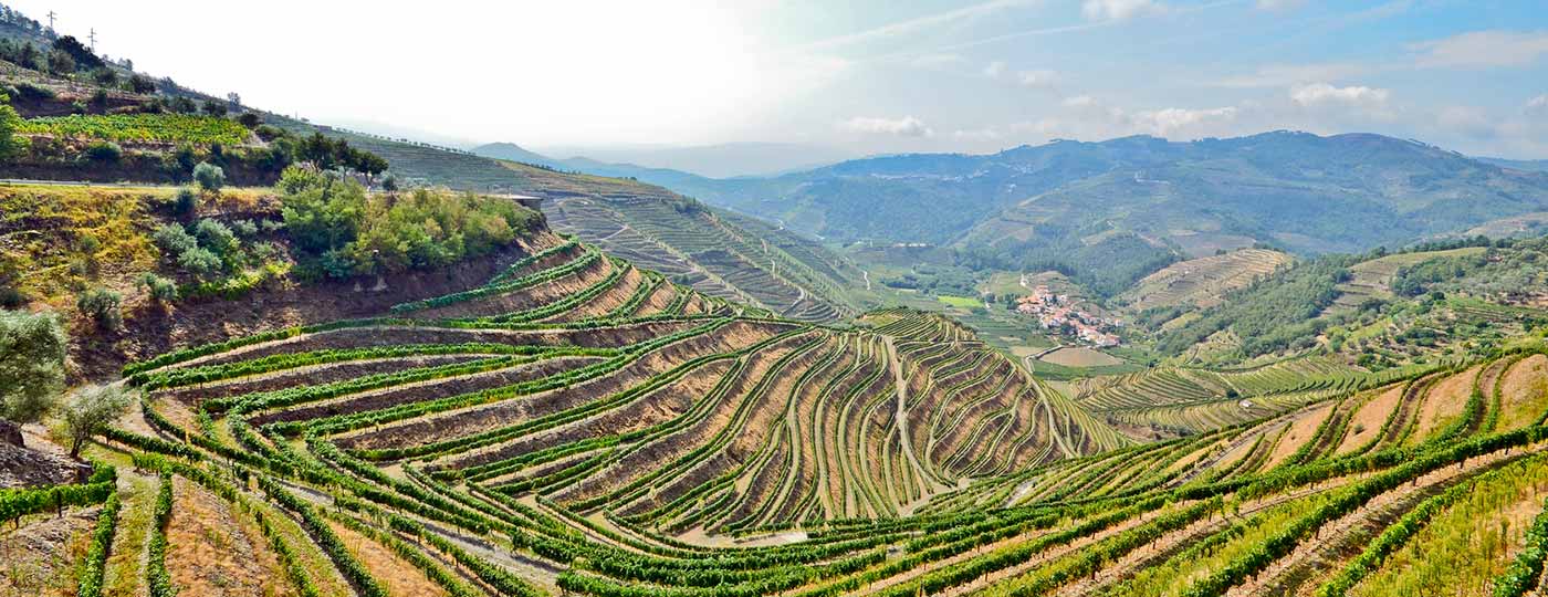 douro wine and douro valley