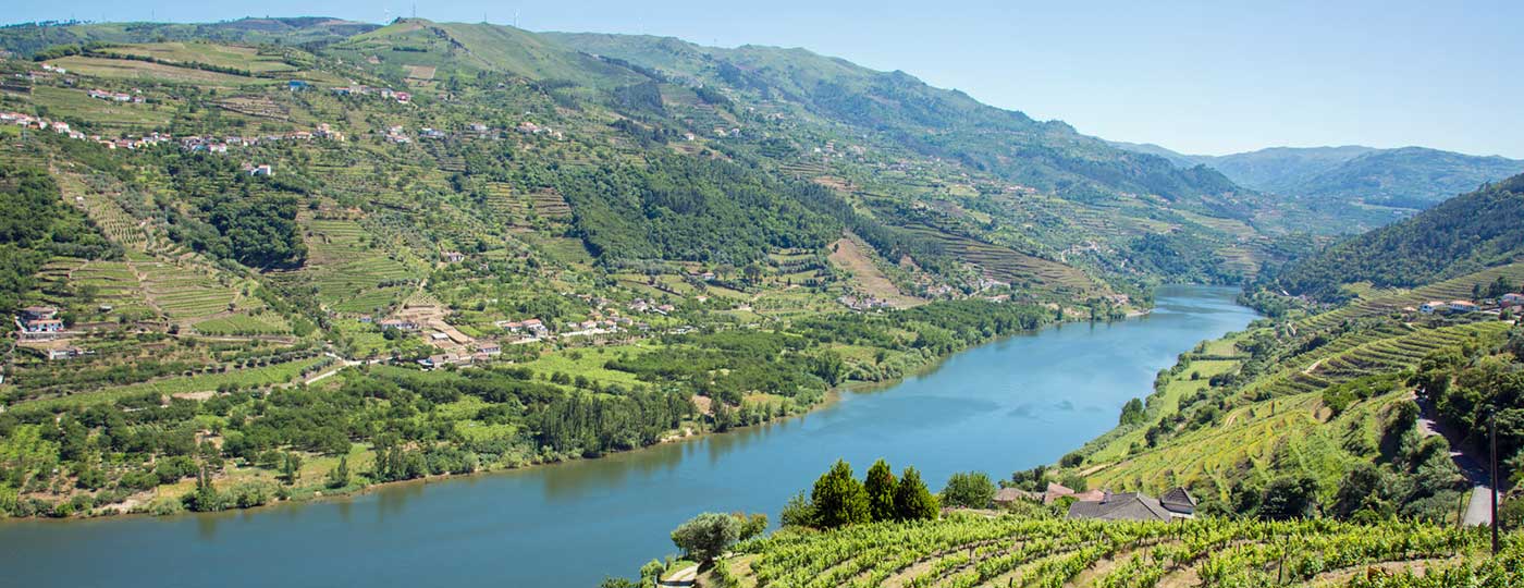 port wine and douro valley