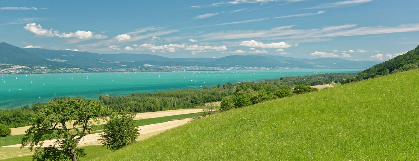 Discover the Canton of Neuchâtel, a stunning natural setting for lovely walks
