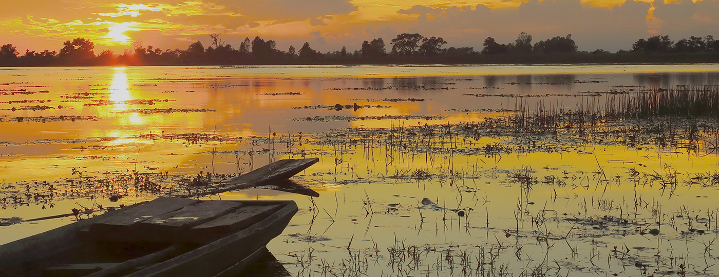 Comidas típicas do Centro-Oeste: pôr do sol no Pantanal