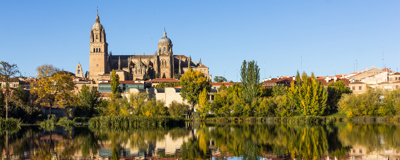 Vistas de la catedral de Salamanca desde el río Tormes
